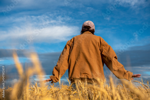 Farmer woman walking through wheat field checking the condition of her wheat with hand outstretched touching the wheat near Sidney, MT USA © Gregory Borgstahl