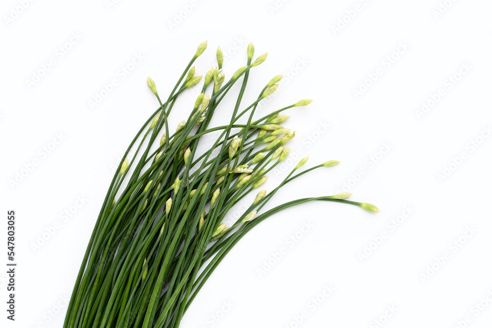 Fresh Chinese Chive flower on white background.