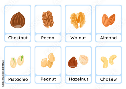 Nuts flashcard collection for children education, printable montessori material