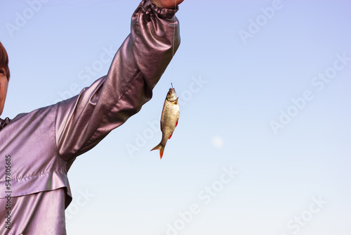 Fisherwoman holding in hand and showing a river fish caught on hook against blue sky. Sports, hobbies, fishing, angling, activities wallpaper with room for text. Freshwater Scardinius erythrophthalmus