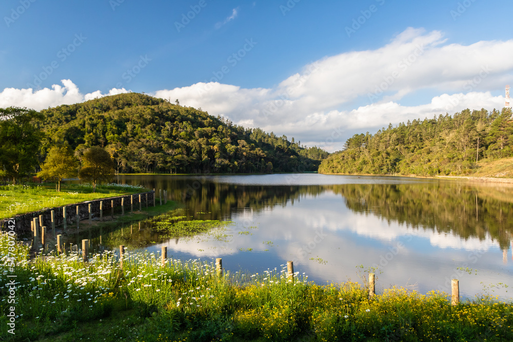 Fototapeta premium a beautiful view of a mountain with trees and a sky with clouds reflected in a lake