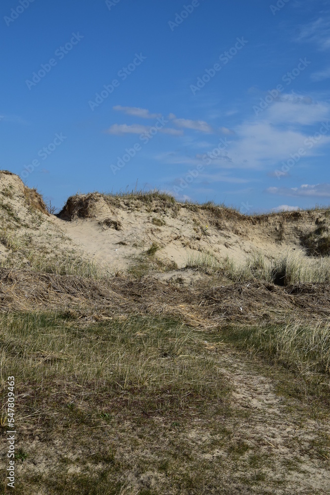 Sand dunes and blue sky Sand dunes and blue sky