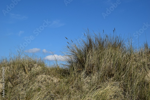 Sand dunes and blue sky