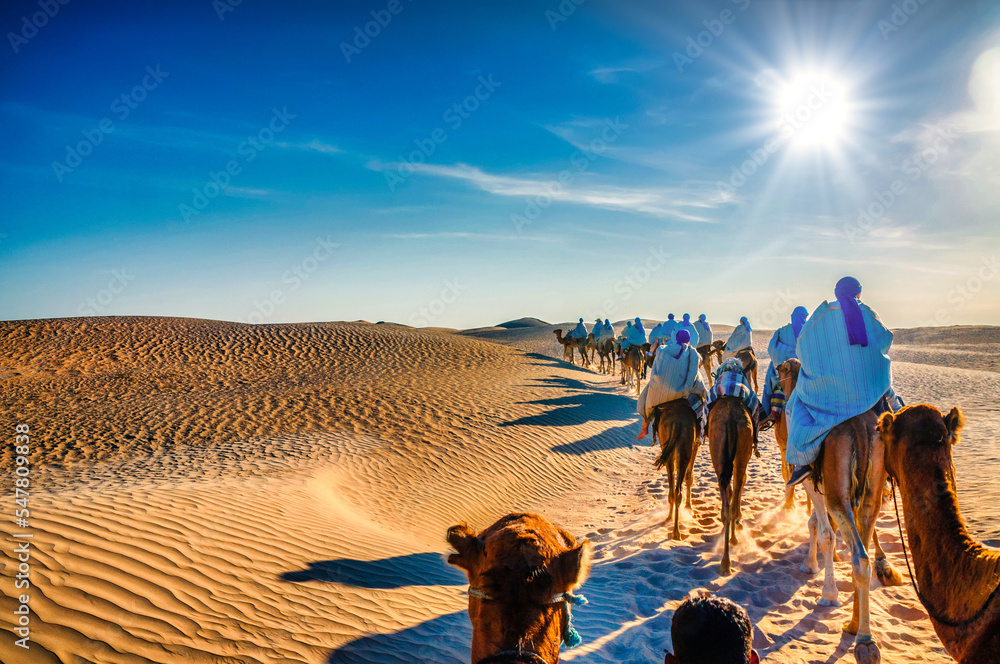 Camels caravan going in sahara desert, Tunisia, Africa - obrazy, fototapety, plakaty 