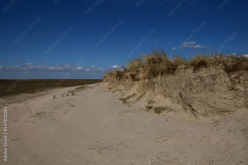 Sand dunes at the beach Sand dunes at the beach