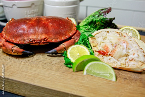 Whole cooked and dressed crab