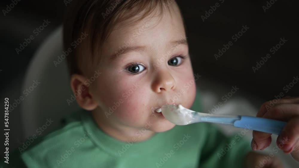 Spoon with yoghurt is given to a cute toddler. Baby eating dairy and looking at camera intently. High angle view. Blurred backdrop. Spoon with yoghurt is given to a cute toddler. Baby eating dairy and looking at camera intently. High angle view. Blurred backdrop.