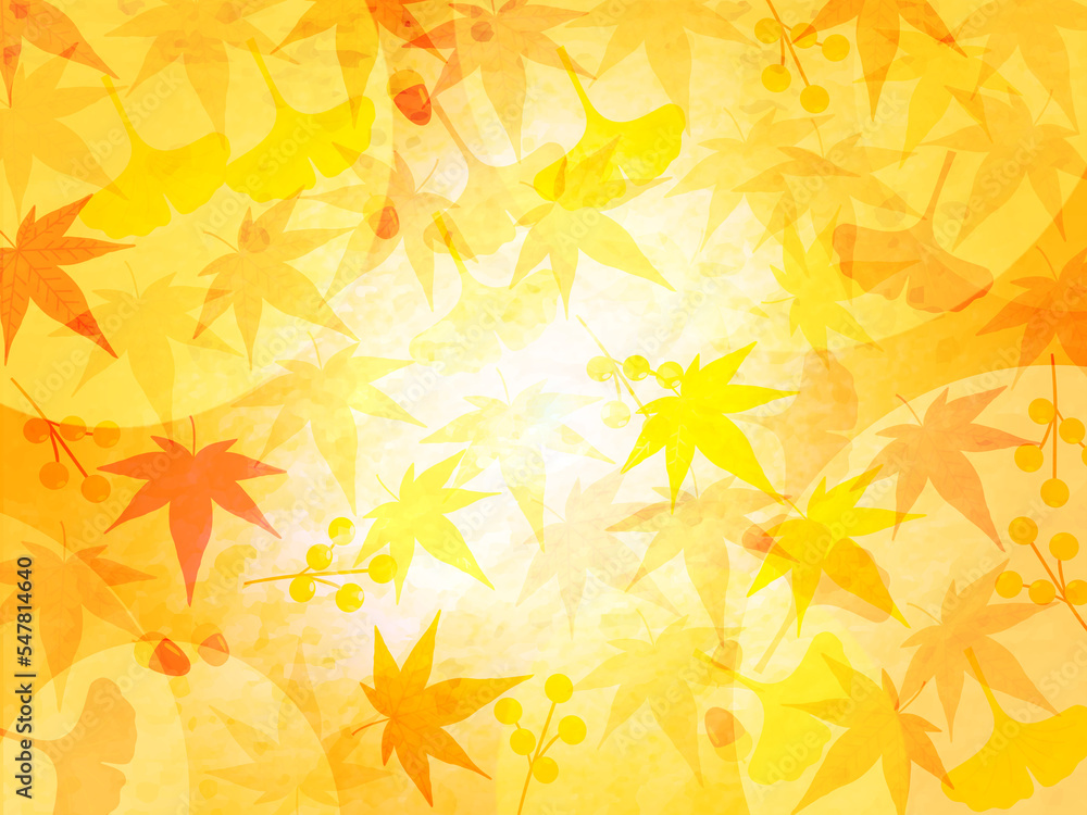 紅葉の背景 紅葉の背景
