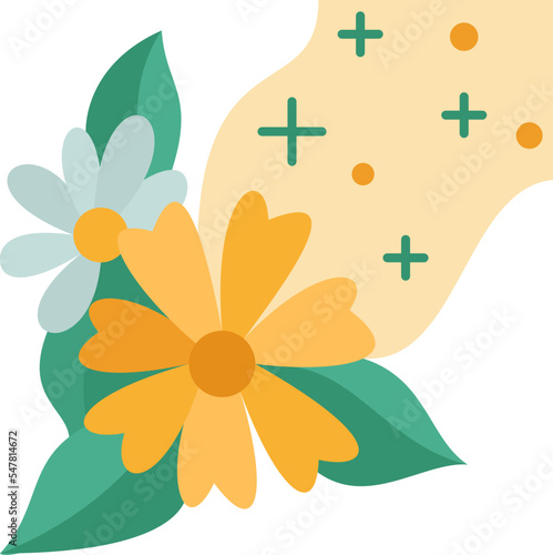 naturopathy  icon