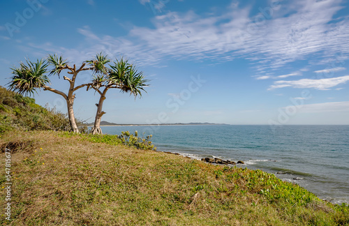 Northern view of Pacific Ocean and coastline from Point Arkwright Lookout, Sunshine Coast, Queensland.