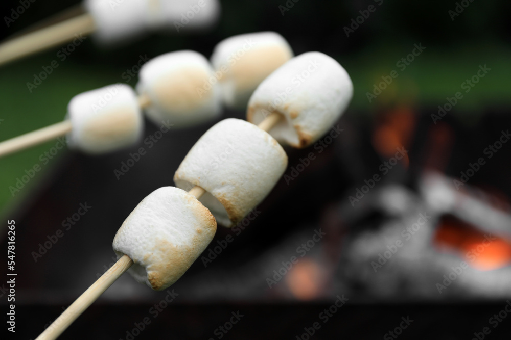 Delicious puffy marshmallows roasting over bonfire, closeup