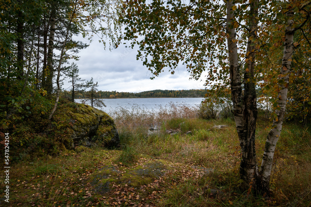 View of Lake Ladoga near the village Lumivaara on a sunny autumn day, Ladoga skerries, Republic of Karelia, Russia View of Lake Ladoga near the village Lumivaara on a sunny autumn day, Ladoga skerries, Republic of Karelia, Russia