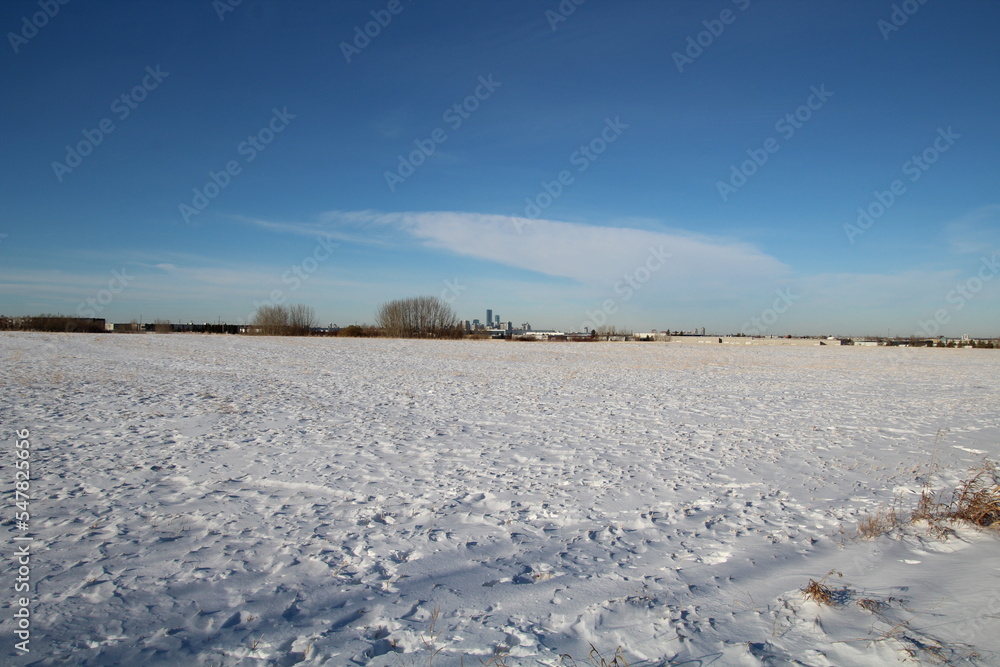 Snowy Farmers Field, Pylypow Wetlands, Edmonton, Alberta Snowy Farmers Field, Pylypow Wetlands, Edmonton, Alberta