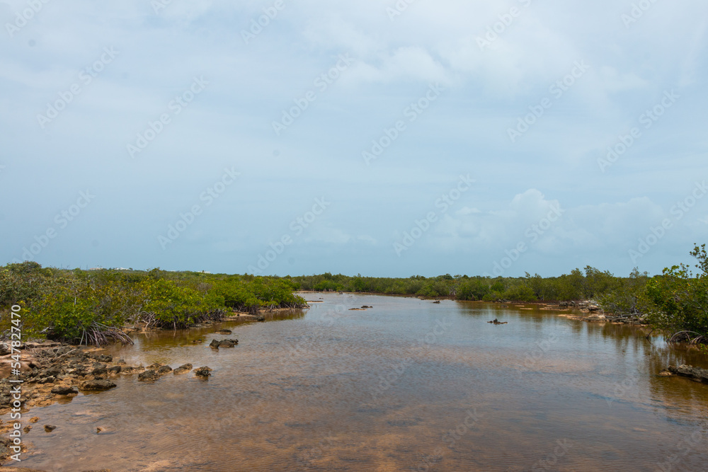 Bird Rock Hiking Trail Scenes on Providenciales Turks and Caicos 