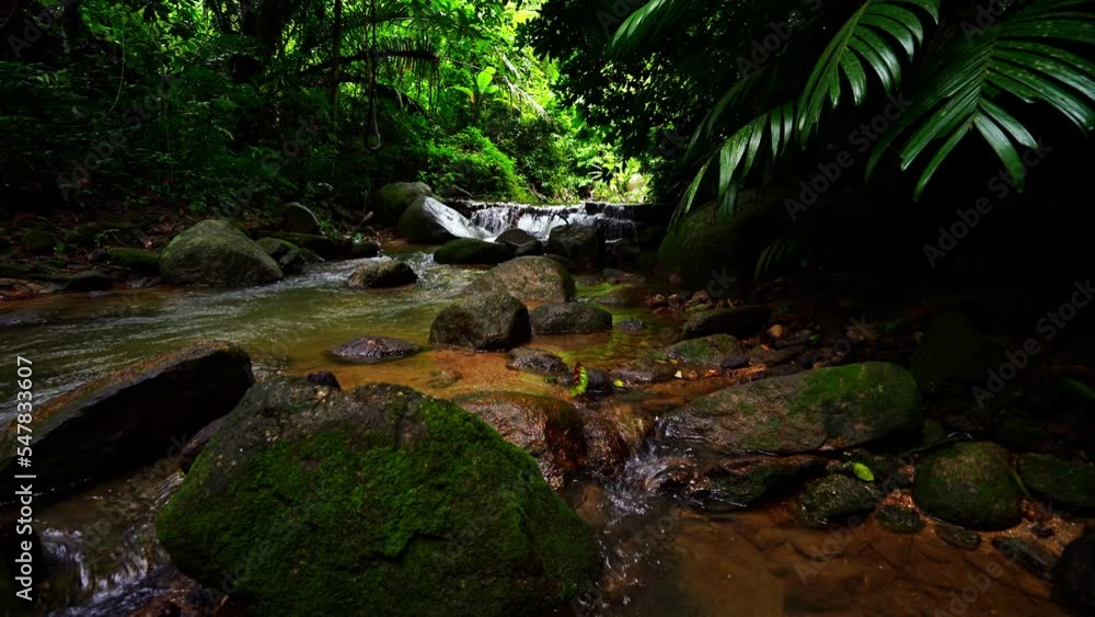 Waterfall in Abundant Clear Stream in the forest Small waterfall river with crystal clear water morning light nature background Waterfall in Abundant Clear Stream in the forest Small waterfall river with crystal clear water morning light nature background