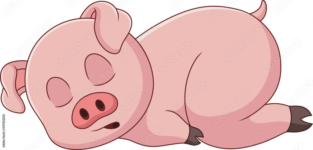 Naklejka premium A little pig is asleep isolated on white background