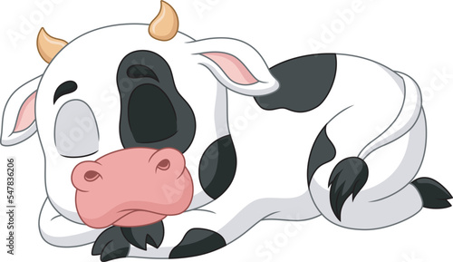 A funny cow is asleep isolated on white background