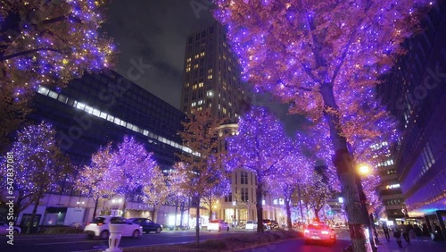 大阪　御堂筋　冬のイルミネーション