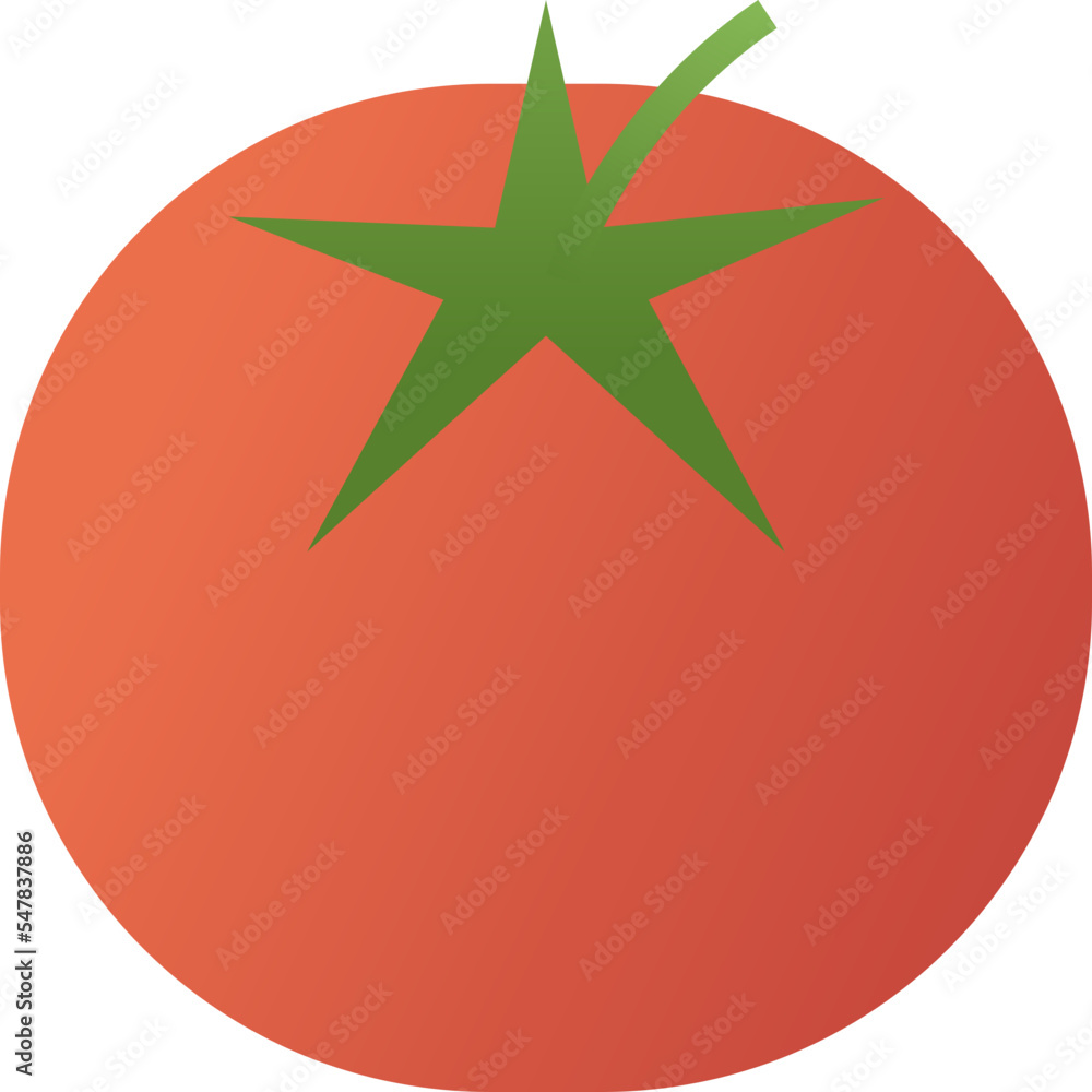 Tomato isolated on white background, illustration, icon, element