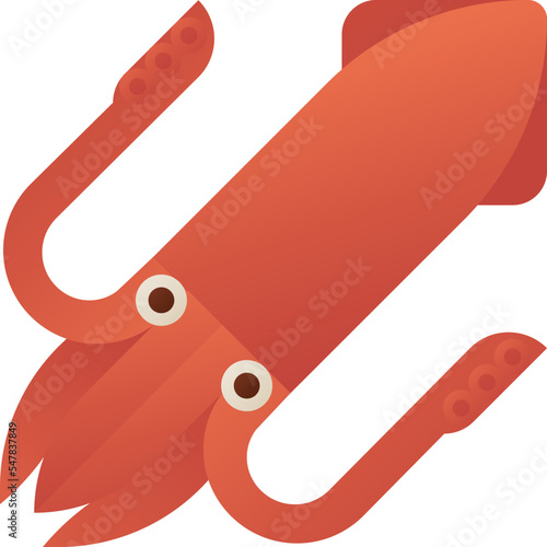Squid isolated on white background, illustration, icon, element
