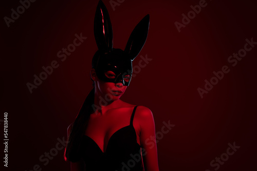 Photo of stunning fore play lady wear black rabbit costume for nightclub dance isolated on burgundy color background