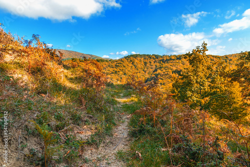 A path on the mountainside on an autumn sunny day. Beautiful view of the mountains under a blue cloudless sky on a sunny day. Mountain landscape with autumn forest in yellow-red foliage.