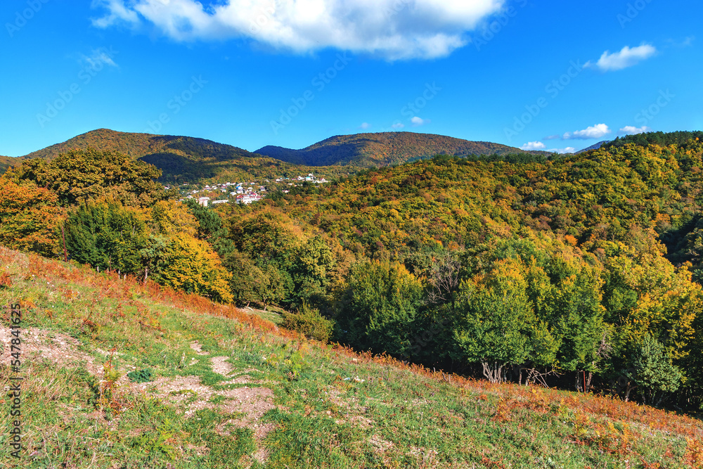 Naklejka premium Autumn forest in warm colors in the mountains on a sunny day. Mountain landscape with autumn forest in yellow-red foliage. Mountains with colorful autumn trees under a cloudy blue sky.