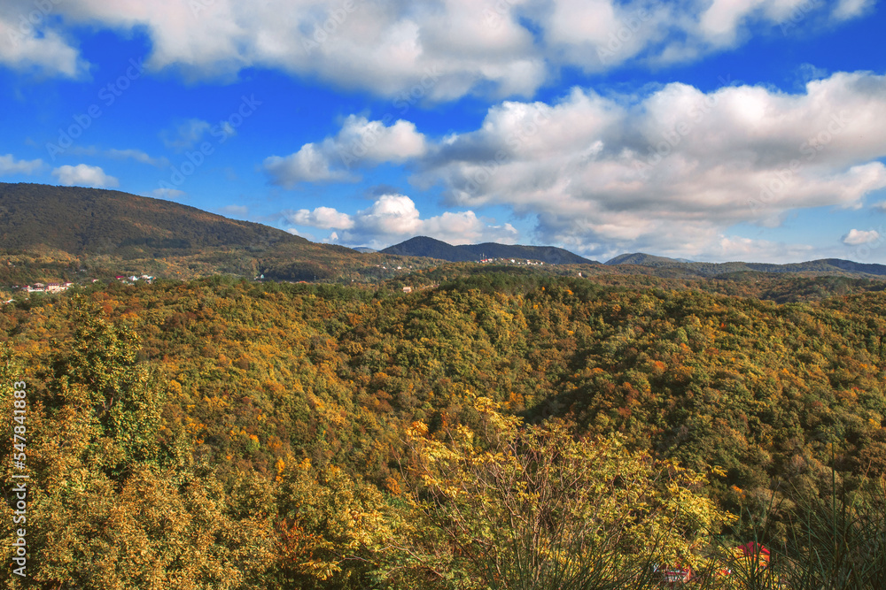 The mountains are covered with colorful autumn trees. Beautiful view of the stunning mountain scenery. A wonderful landscape with a forest in front of a cloudy blue sky on a sunny day.
