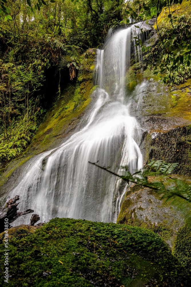 Obraz premium Waterfall hiding in the rainforest