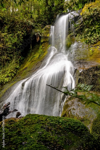 Waterfall hiding in the rainforest