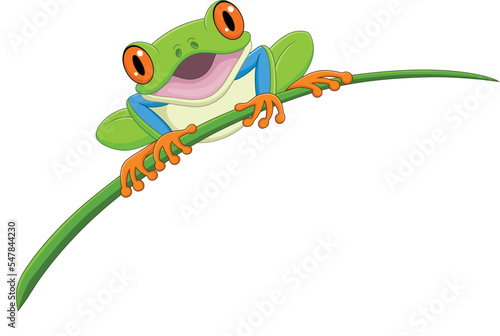 Cartoon happy frog on leaf
