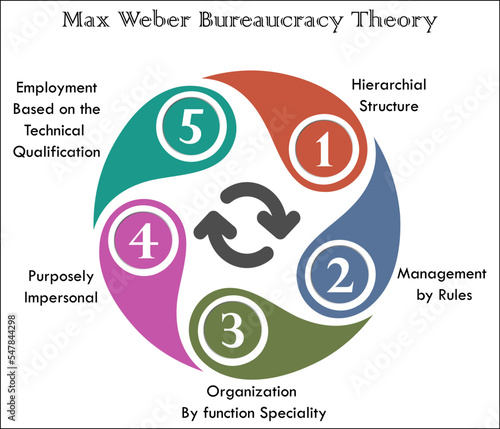 Five Steps of Max weber Bureaucracy theory in an Infographic template