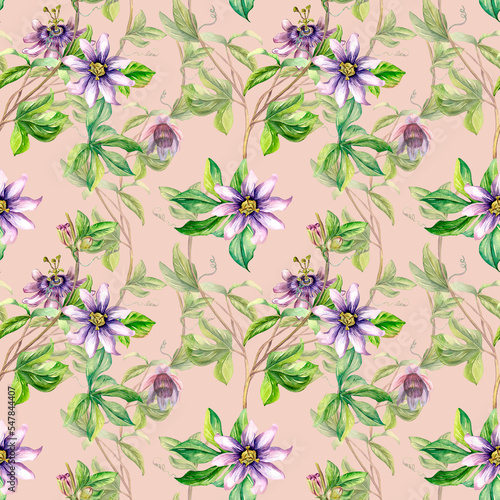 Passion flower plant watercolor seamless pattern isolated on pink