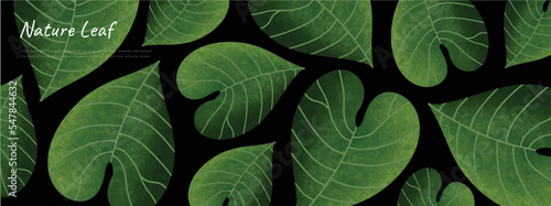 leaves bakground design vector for ecology set bundle nature leavesi background