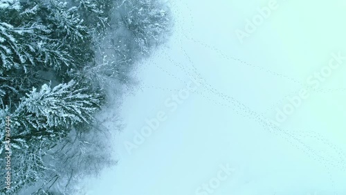 Alpine snow lands of Kitzbuhel Innsbruck Austria aerial  photo