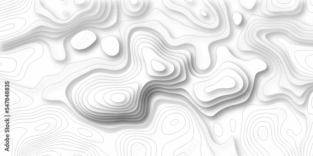 Abstract background vector and topographic patter line map background. silver line topography maount map contour background, geographic grid. Abstract vector illustration.