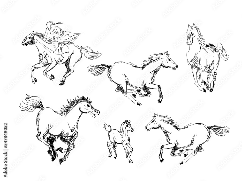 Set of outline horses ink pencil drawings on white background sketch. Vector illustration clipart Set of outline horses ink pencil drawings on white background sketch. Vector illustration clipart