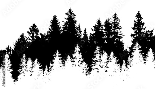 Spruce forest silhouette background monochrome. Winter snowy forest. Vector illustration