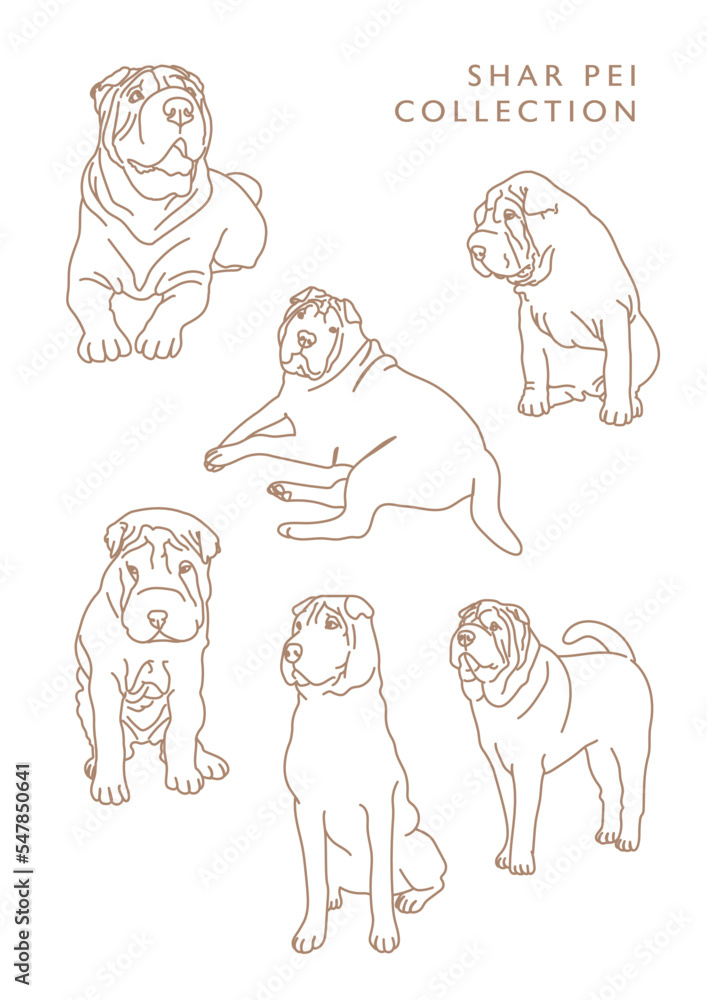 Shar Pei Dog Outline Illustrations in Various Poses