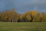 Herbstliche Landschaft im Siegerland bei der Trupbacher Heide
