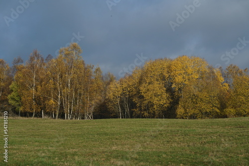 Herbstliche Landschaft im Siegerland bei der Trupbacher Heide 