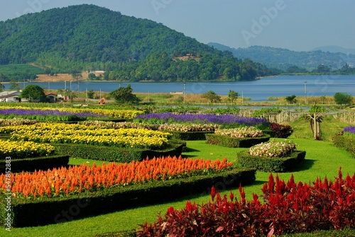 The beautiful flower garden in Chonburi,Thailand
