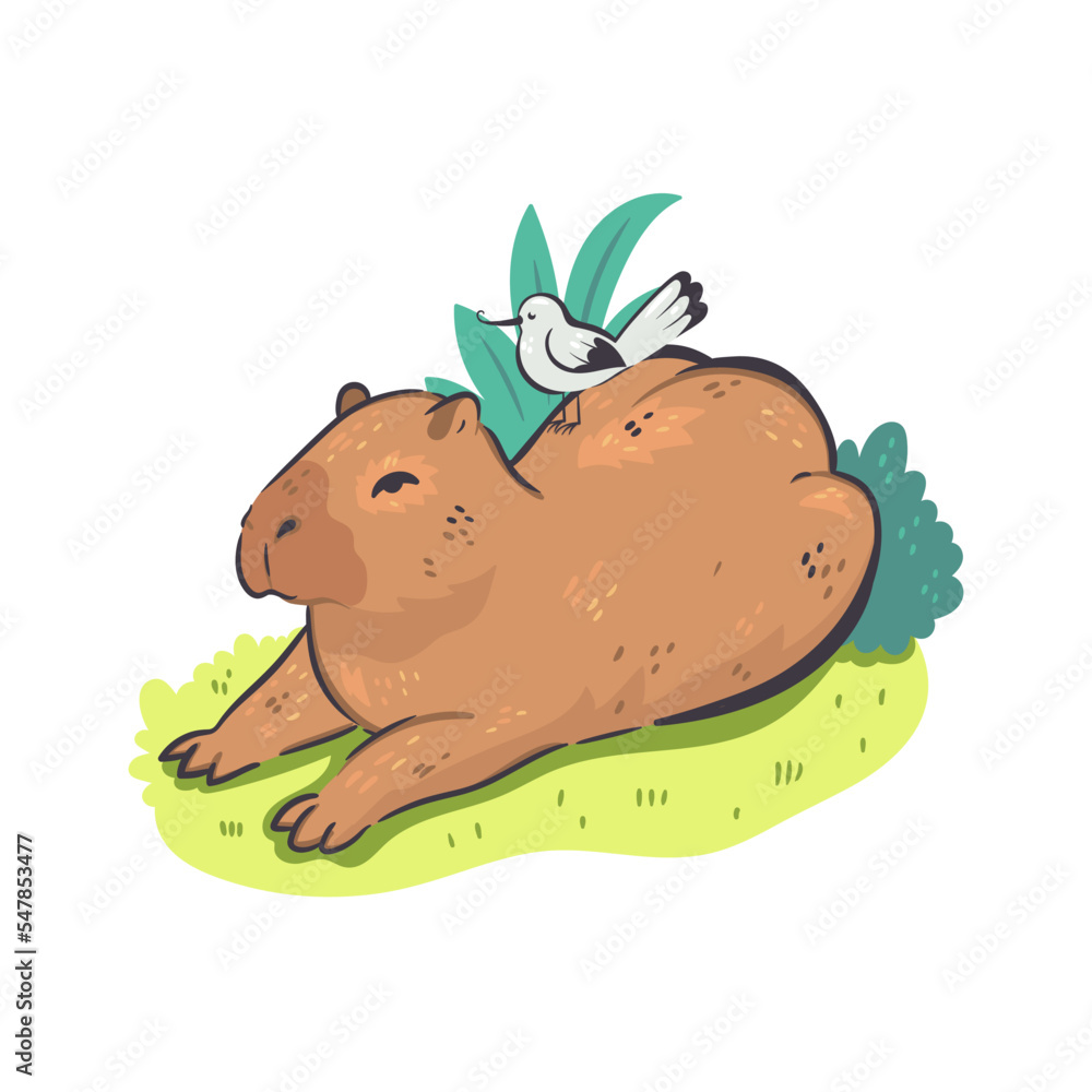 Cute capybara isolated on white background. Vector graphics. Cute capybara isolated on white background. Vector graphics.