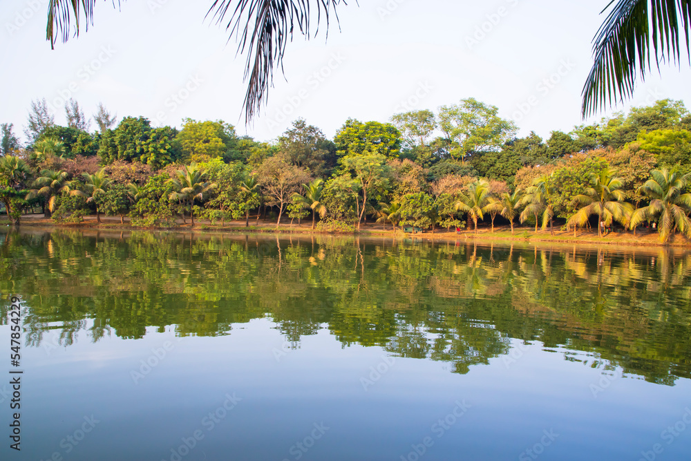 Natural landscape view Reflection of trees in the lake water against blue sky Natural landscape view Reflection of trees in the lake water against blue sky