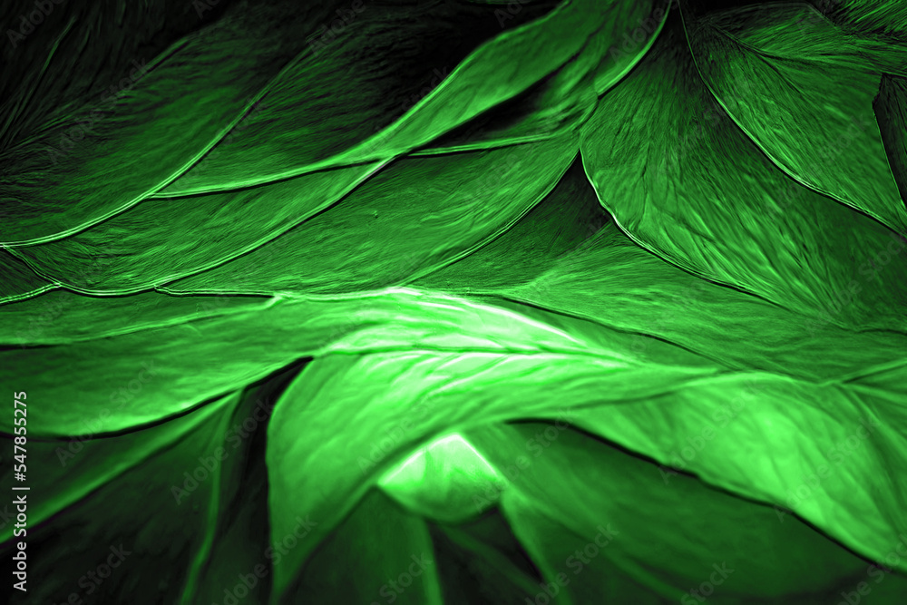 Green background texture design, complex shapes with different shades of emerald green, spring swirly blossom and elegant concept wallpaper
Green background texture design, complex shapes with different shades of emerald green, spring swirly blossom and elegant concept wallpaper