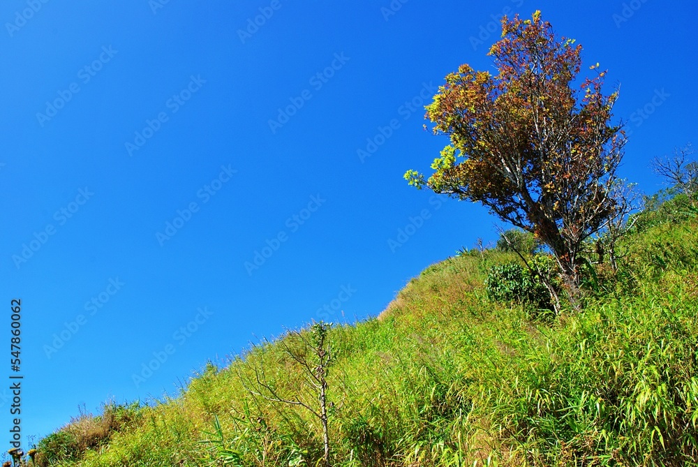 Obraz premium The clear sky before to the top of mountain. 