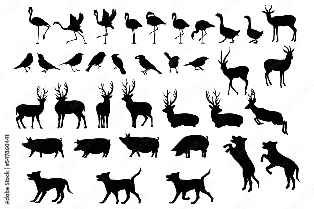 cute animal silhouette illustration set Stock Vector Adobe Stock