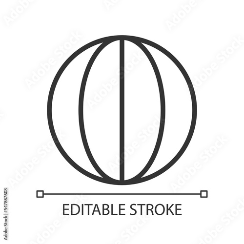 Longitude pixel perfect linear icon. Spherical globe. World map. Planet meridian. Earth surface. Thin line illustration. Contour symbol. Vector outline drawing. Editable stroke. Arial font used