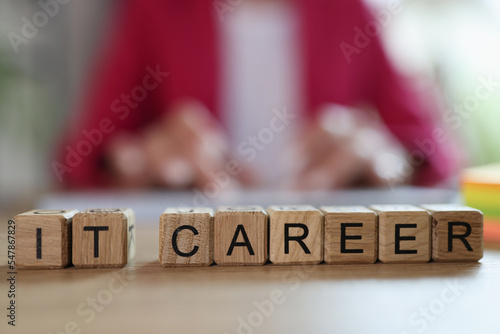 IT career words collected with wooden cubes in row