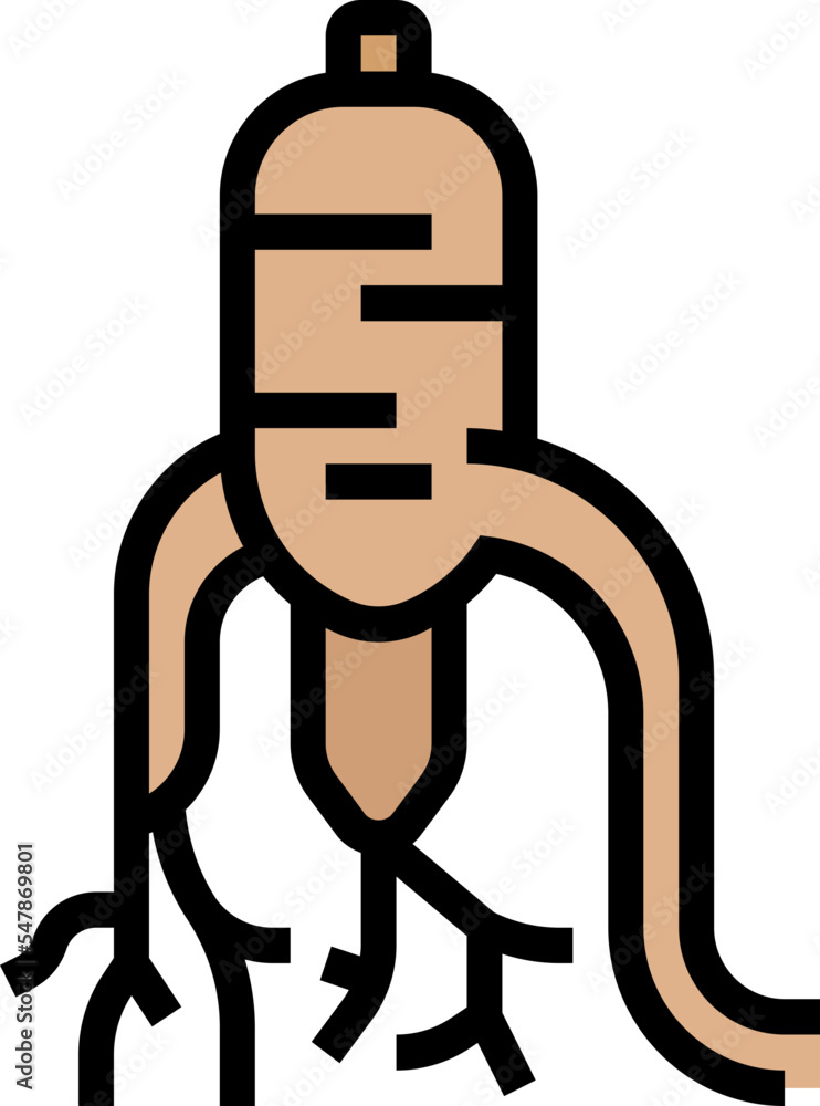 ginseng icon ginseng icon